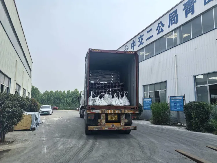 Qingdao Liweiyuan Steel Structure постачає клієнту в Ісландії сталеві компоненти на замовлення для рибних господарств